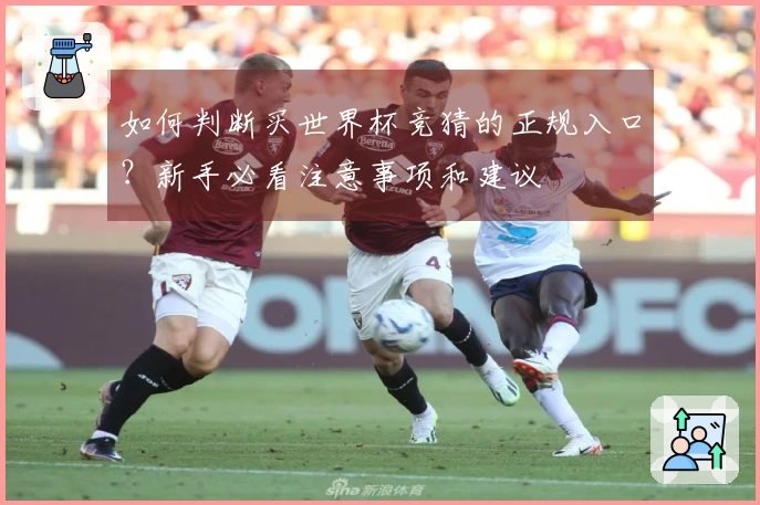 如何判断买世界杯竞猜的正规入口？新手必看注意事项和建议