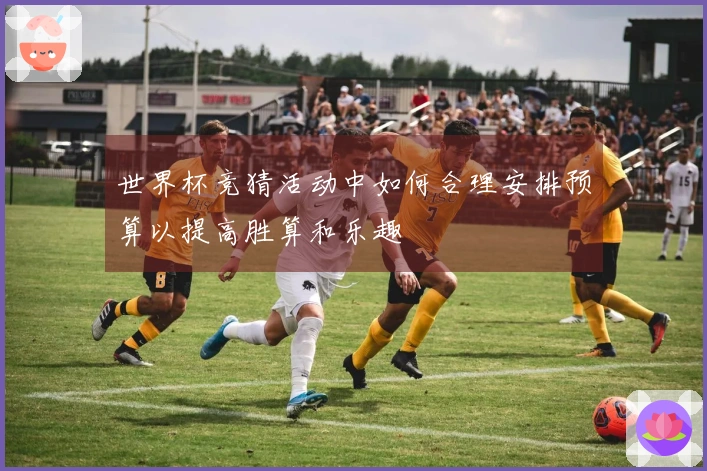 世界杯竞猜活动中如何合理安排预算以提高胜算和乐趣