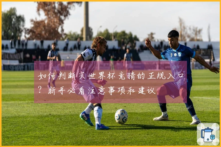 如何判断买世界杯竞猜的正规入口？新手必看注意事项和建议