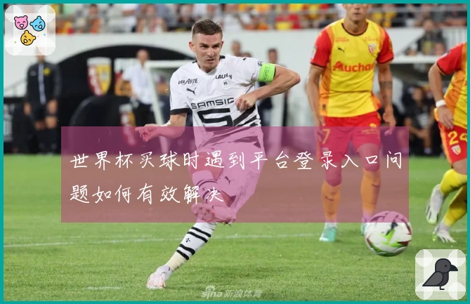 世界杯买球时遇到平台登录入口问题如何有效解决