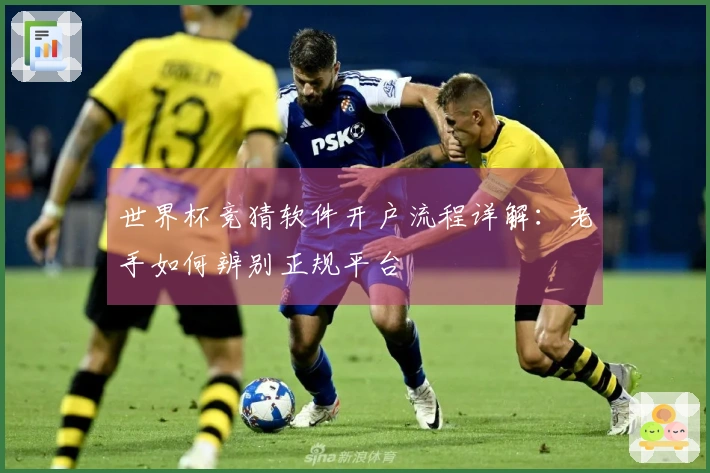 世界杯竞猜软件开户流程详解：老手如何辨别正规平台