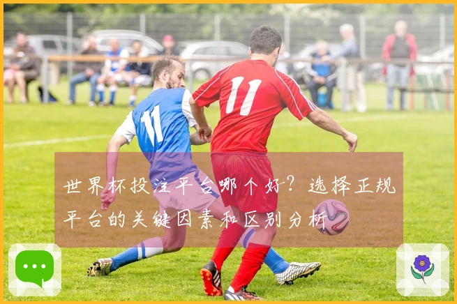 世界杯投注平台哪个好？选择正规平台的关键因素和区别分析